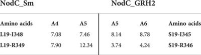 Customized chitooligosaccharide production—controlling their length via engineering of rhizobial chitin synthases and the choice of expression system